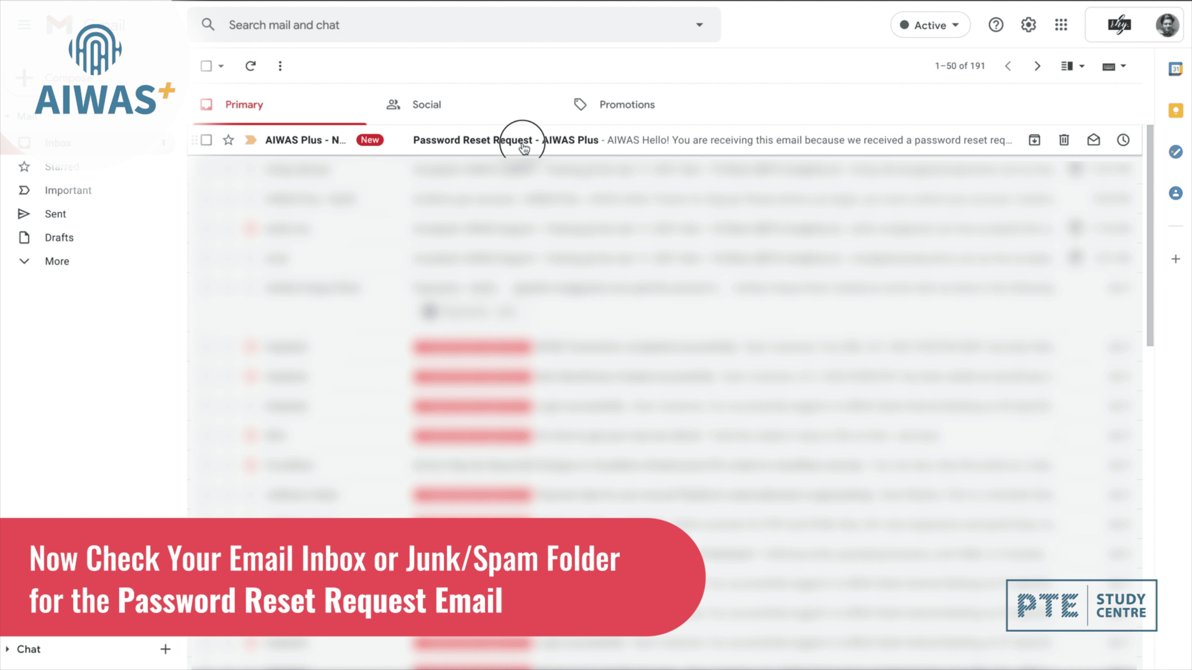 Password Reset Request Email